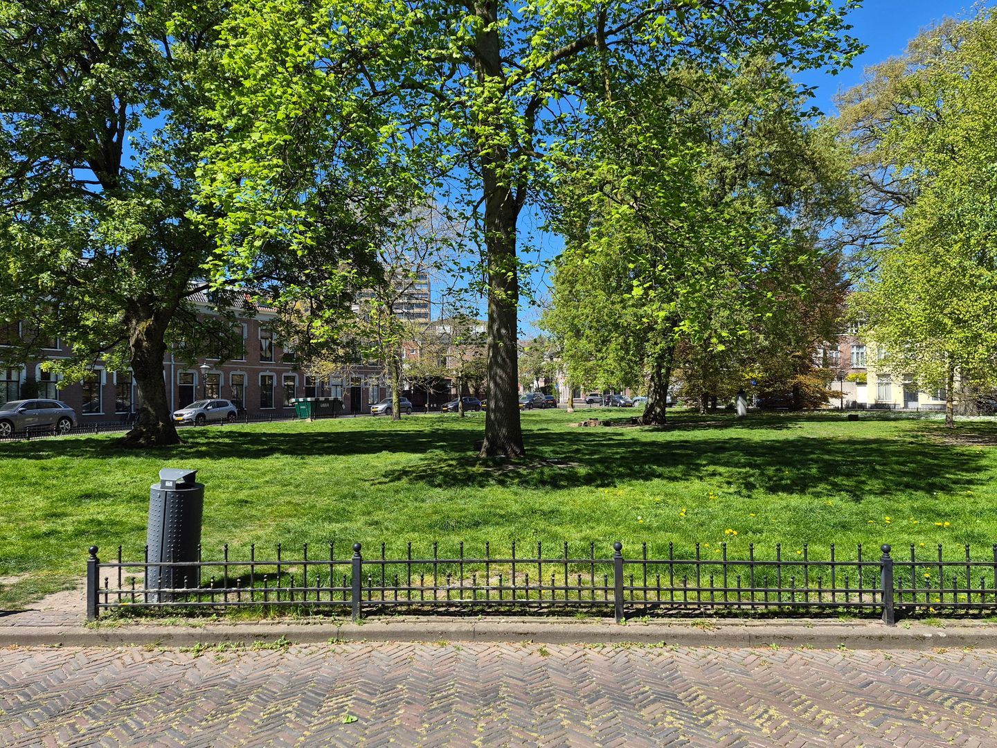 Ripperdapark, Haarlem foto-47