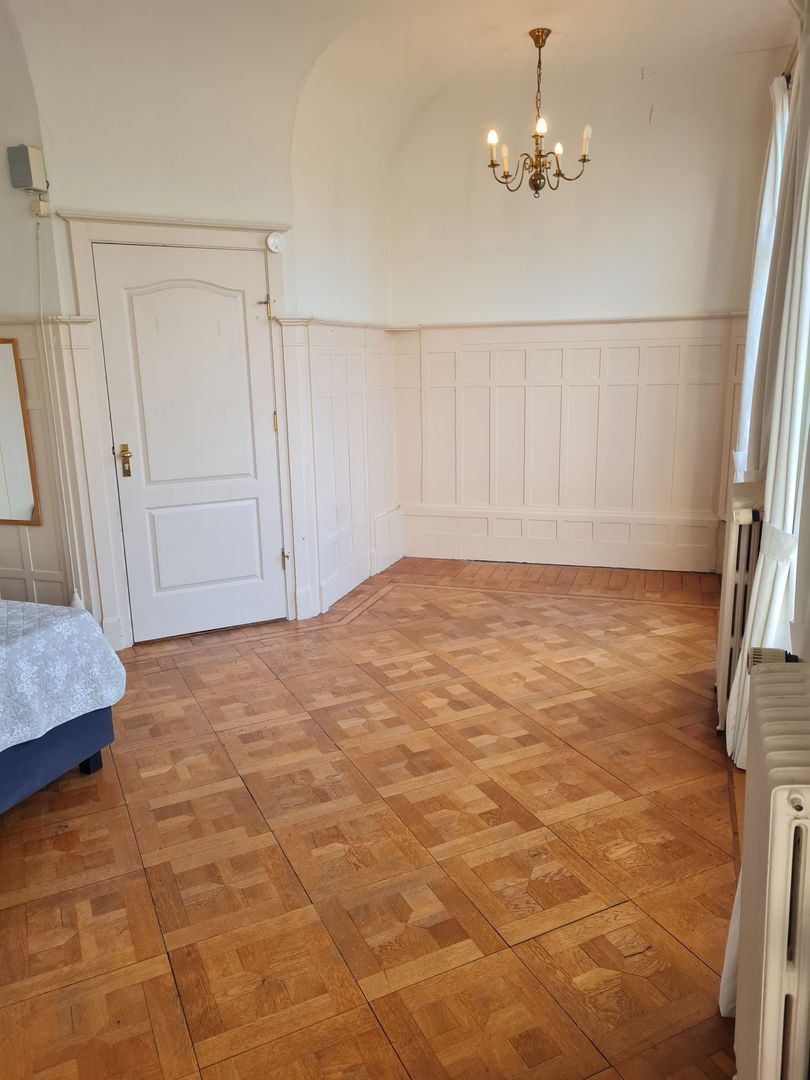 Ripperdapark, Haarlem foto-31