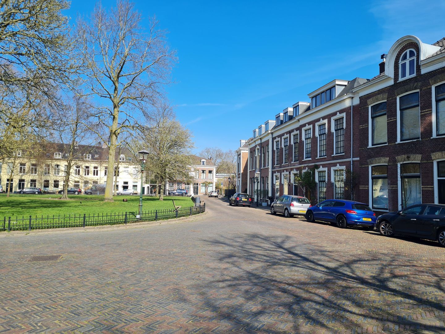 Ripperdapark, Haarlem foto-43