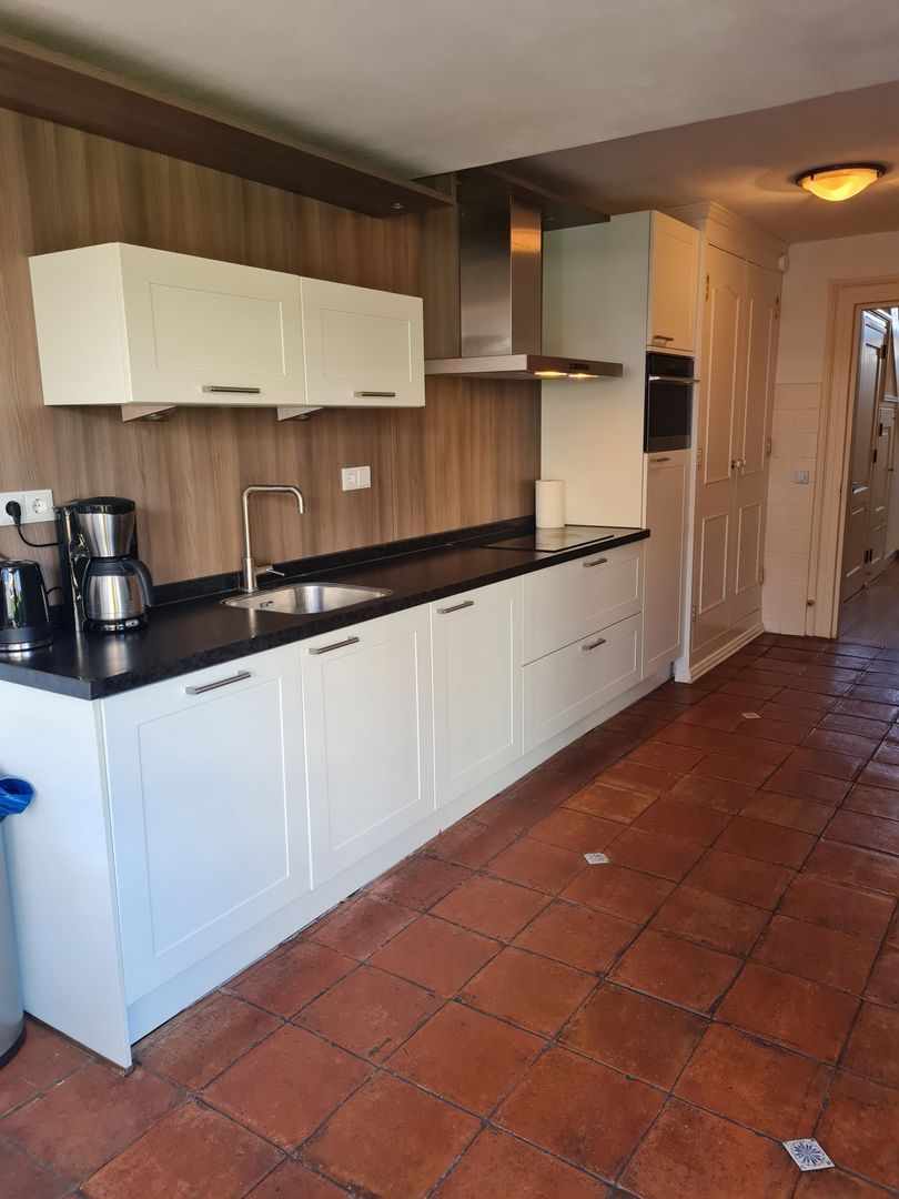 Ripperdapark, Haarlem foto-15