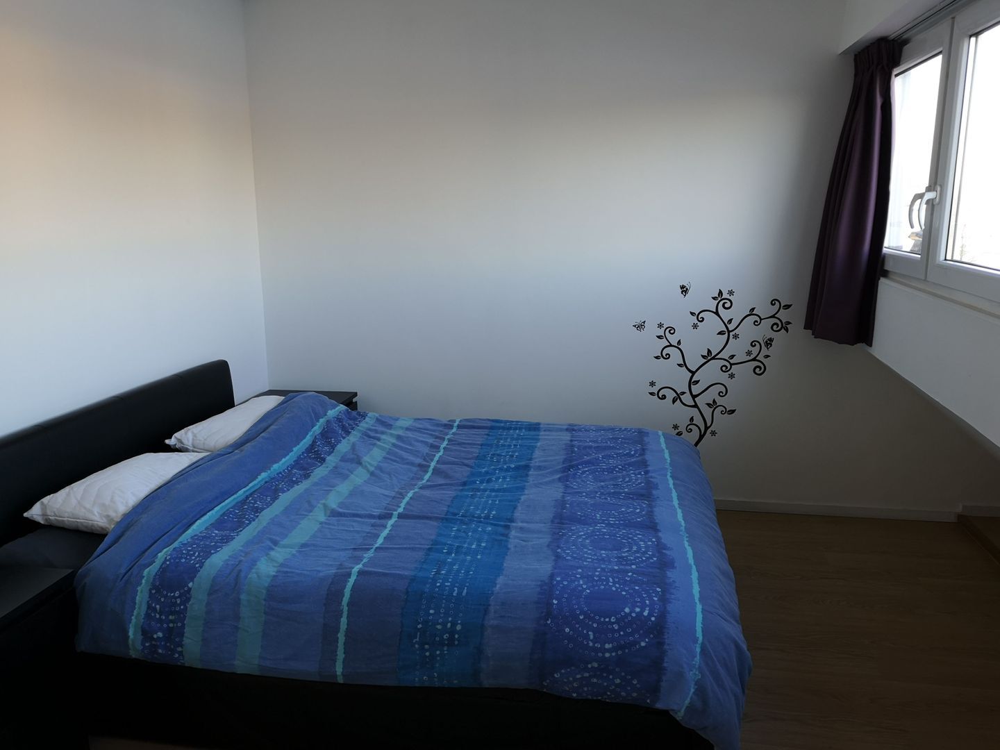 Spaarndamseweg, Haarlem foto-18