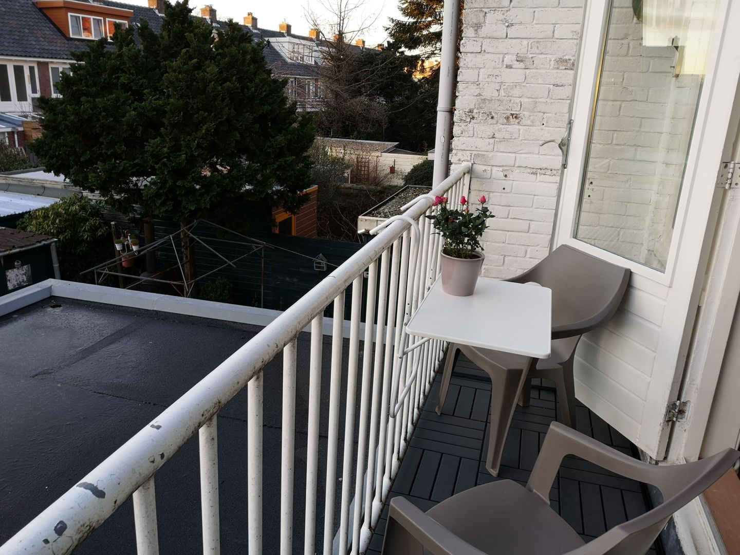 Spaarndamseweg, Haarlem foto-9