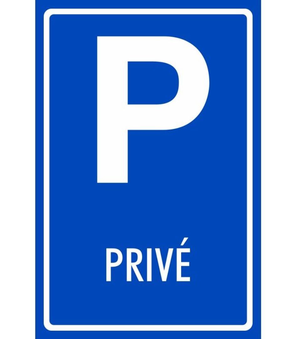 Truus Oversteegenstraat, Haarlem foto-13