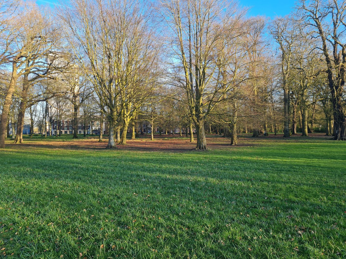 Bellevuelaan, Haarlem foto-22