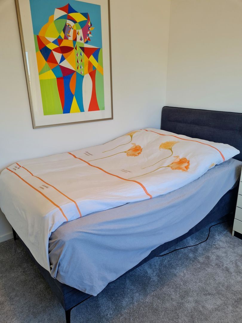 Mr Troelstrastraat, Zandvoort foto-33