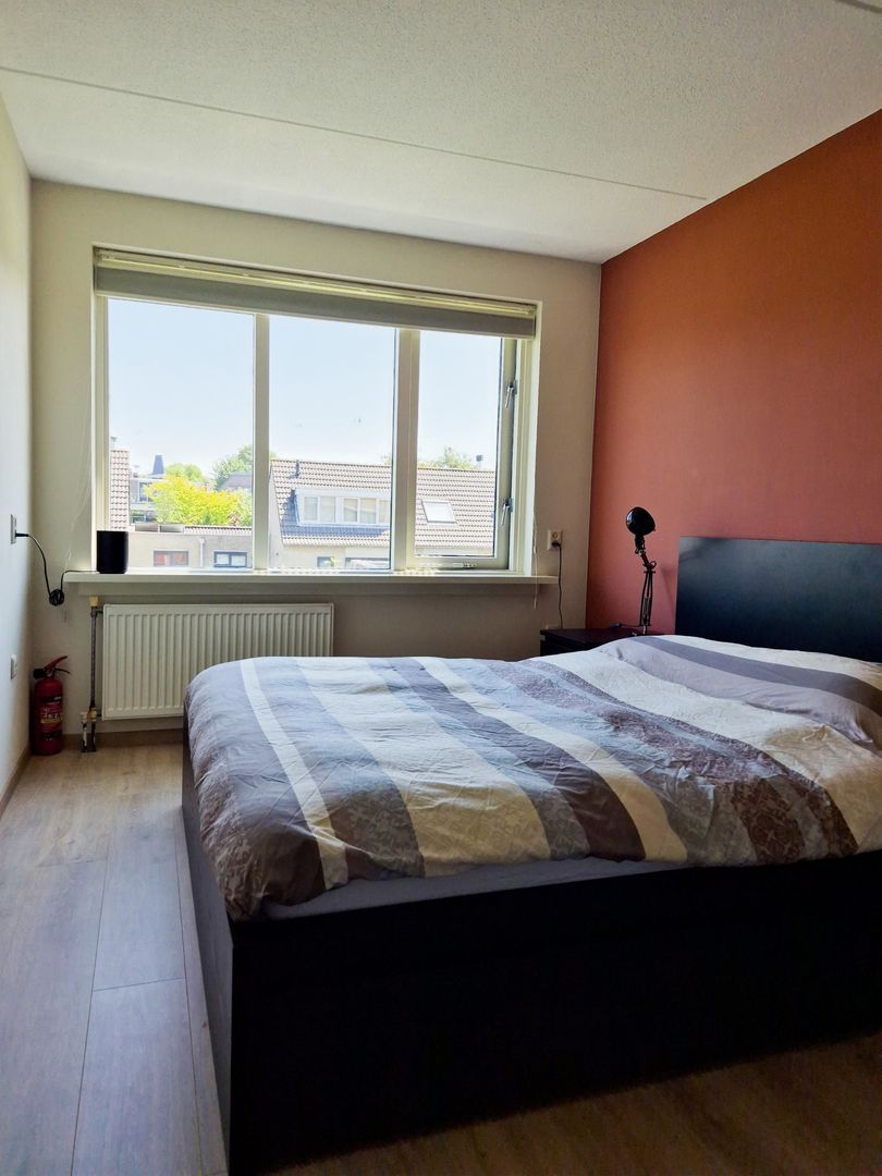 Prins Willem-Alexanderplein, Haarlem foto-9