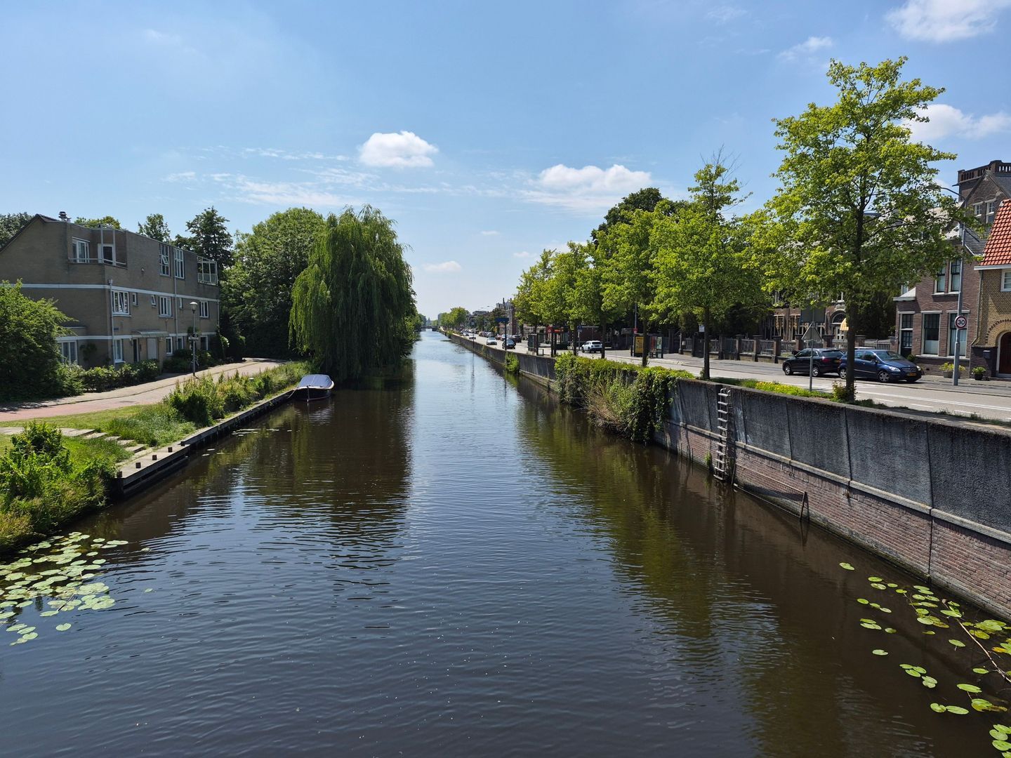 Prins Willem-Alexanderplein, Haarlem foto-20