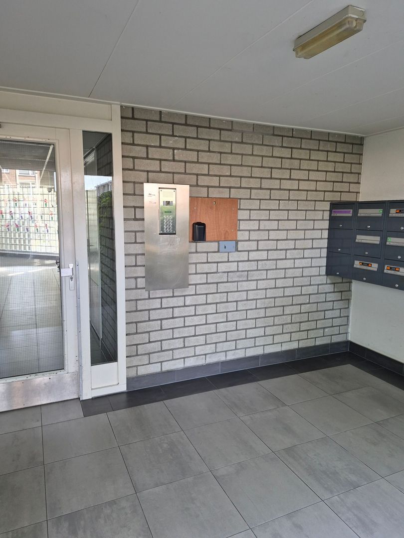 Mariëttahof, Haarlem foto-23
