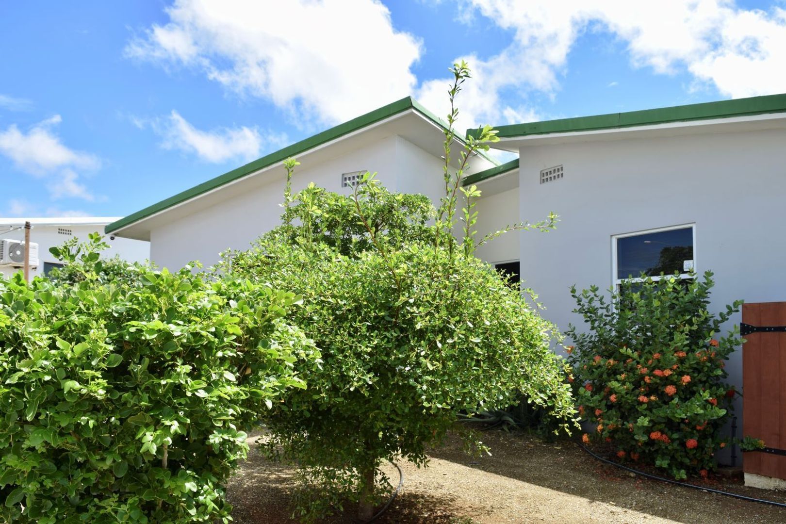 Kaya Torino 23, Brakkeput Mei Mei foto-9