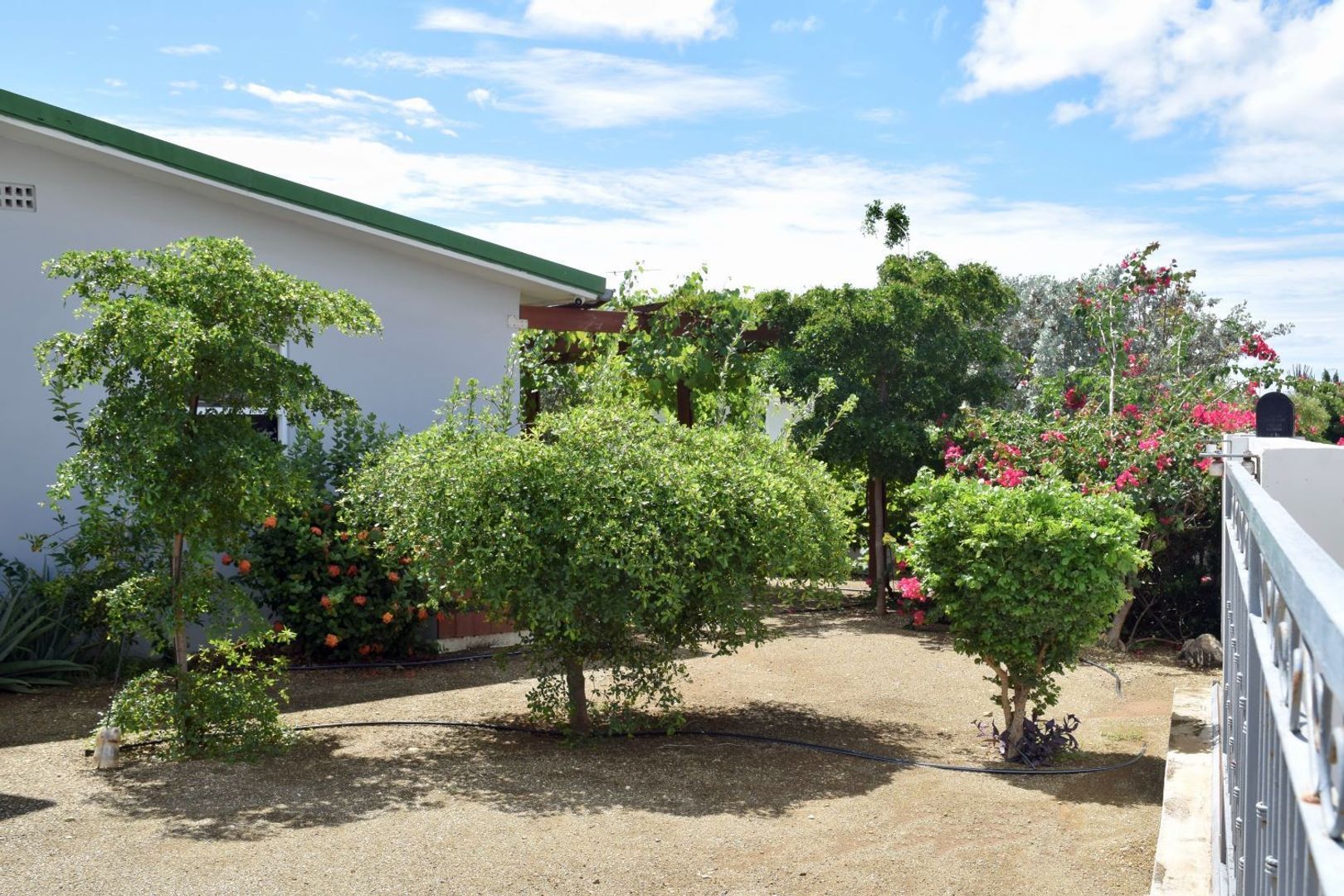 Kaya Torino 23, Brakkeput Mei Mei foto-8