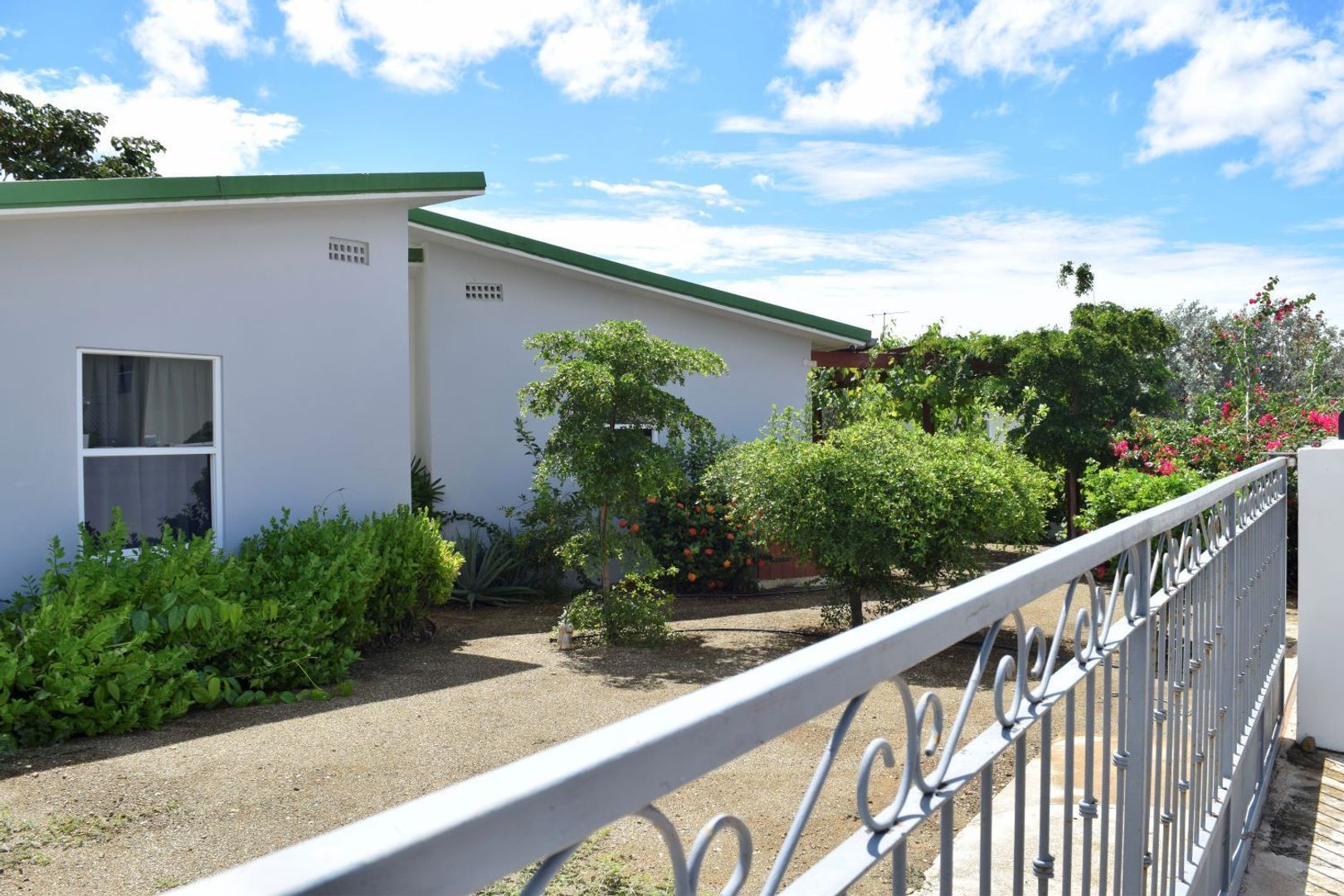 Kaya Torino 23, Brakkeput Mei Mei foto-10