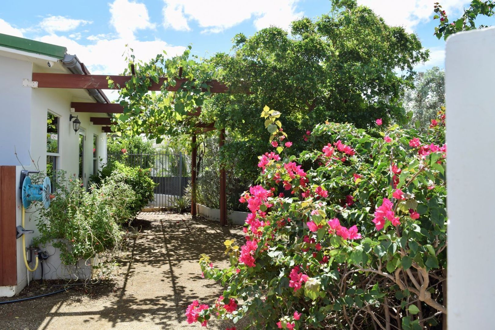 Kaya Torino 23, Brakkeput Mei Mei foto-1