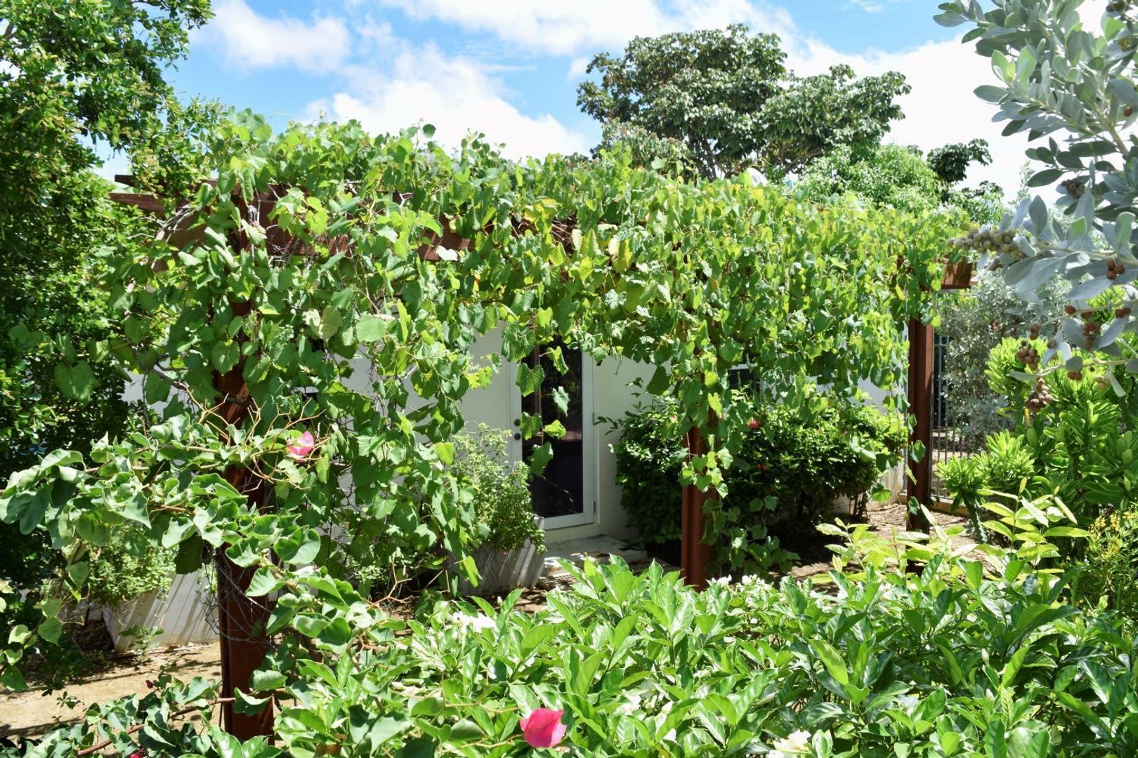 Kaya Torino 23, Brakkeput Mei Mei foto-3