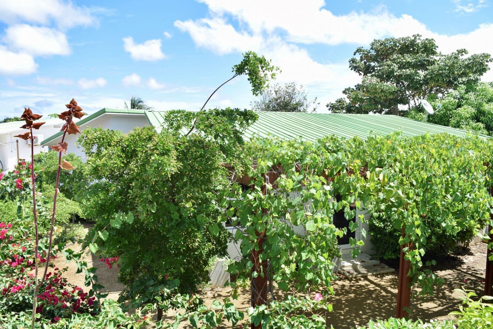 Kaya Torino 23, Brakkeput Mei Mei foto-2