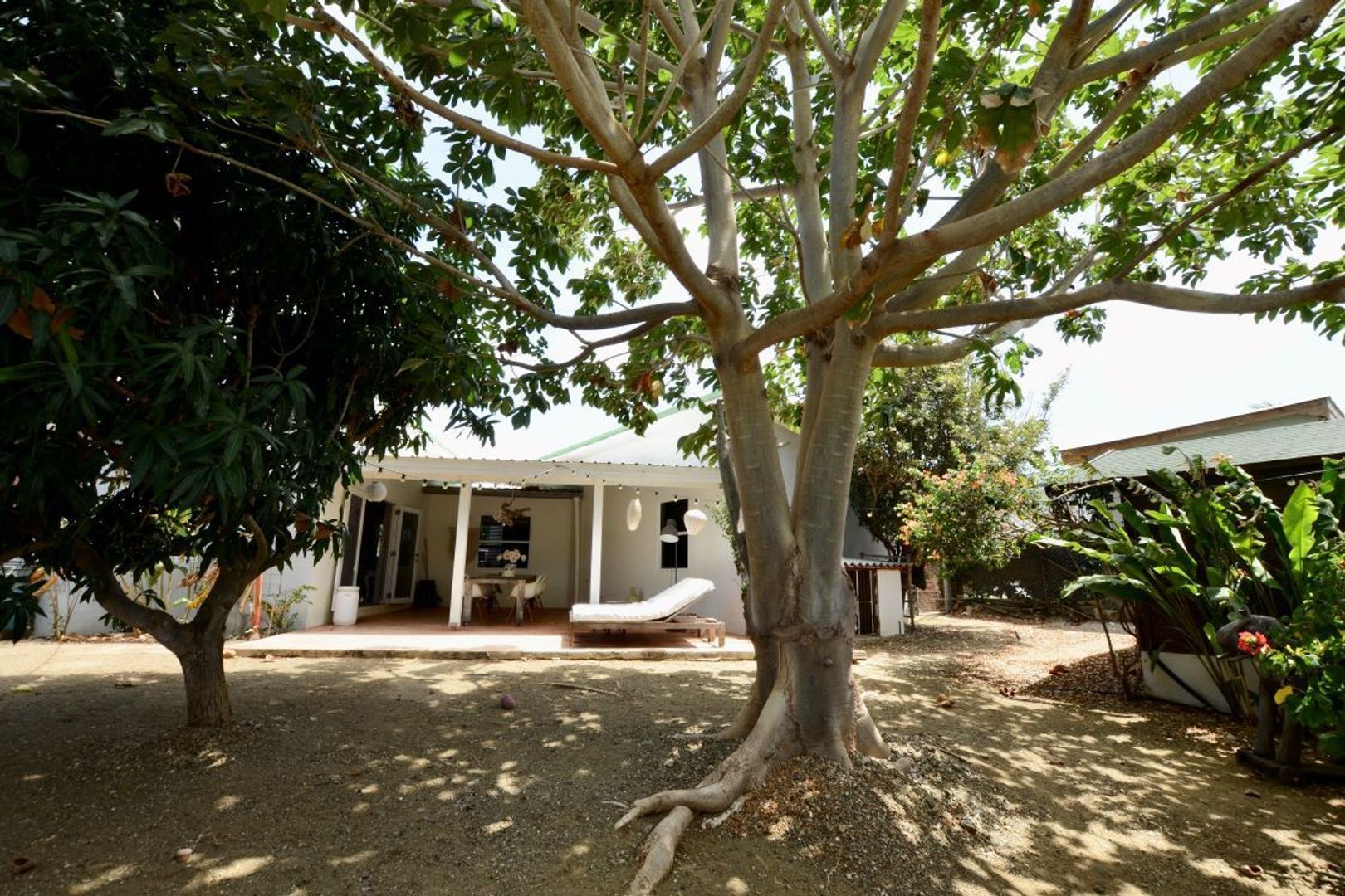 Kaya Torino 23, Brakkeput Mei Mei foto-5