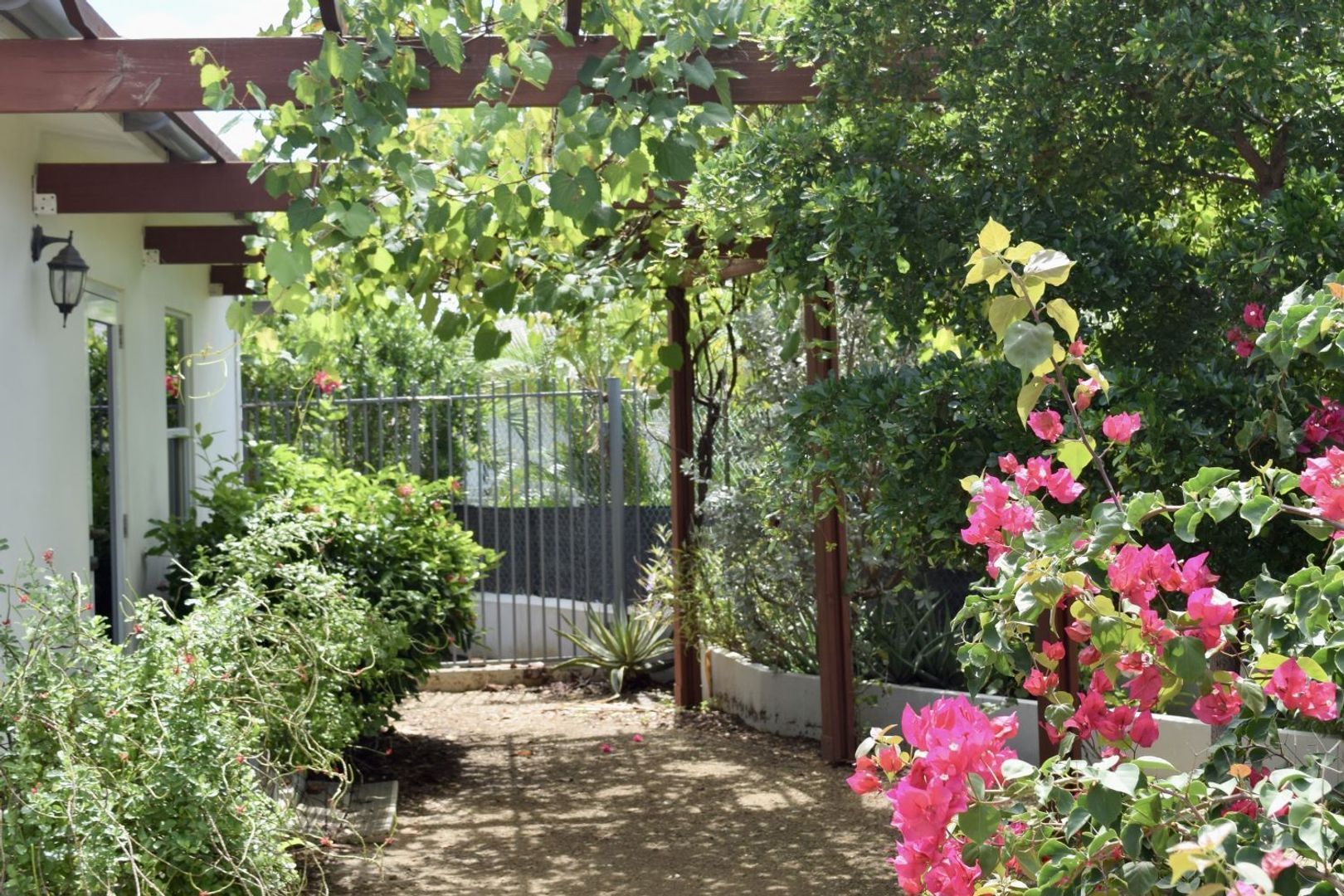 Kaya Torino 23, Brakkeput Mei Mei foto-4