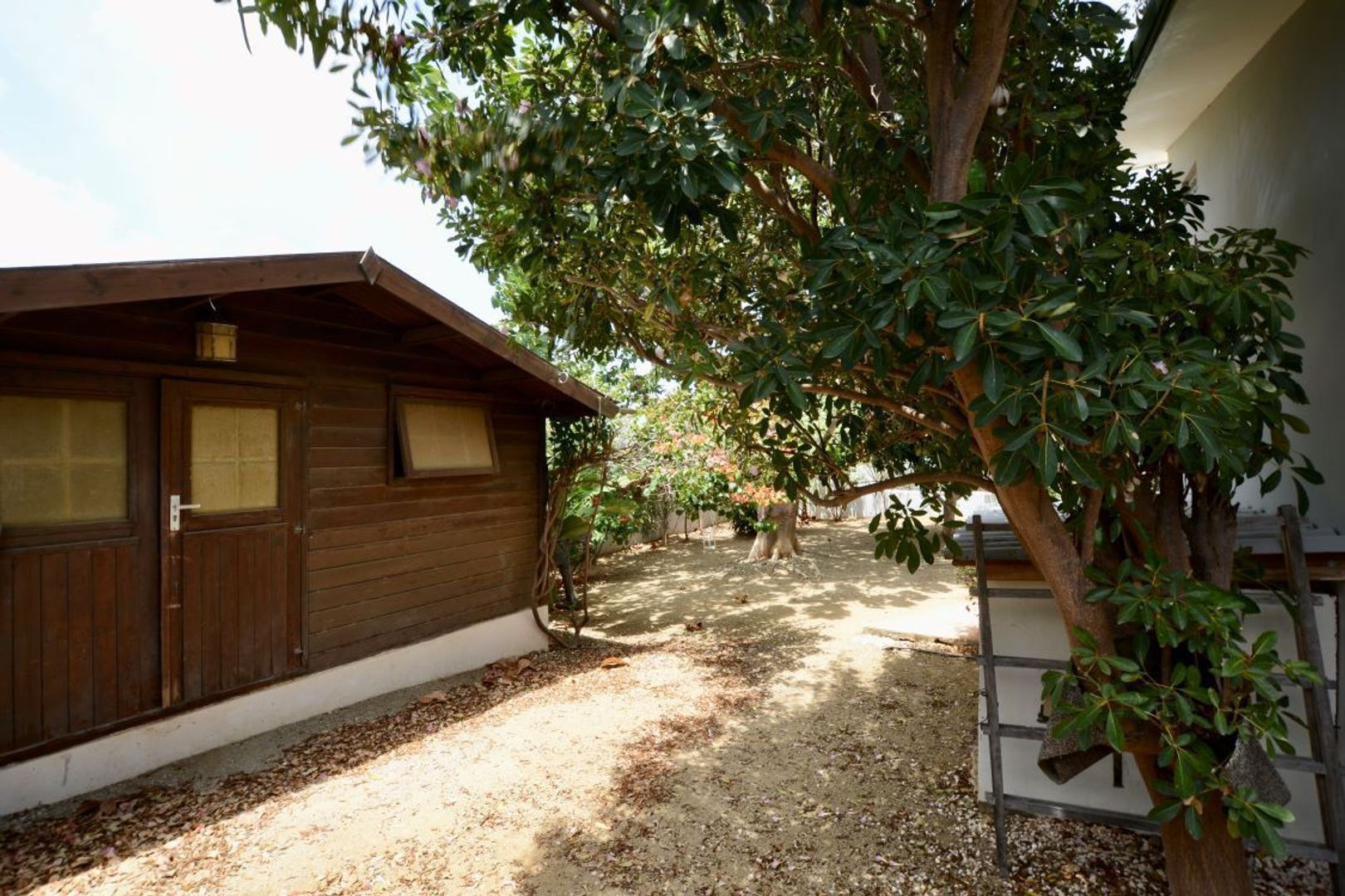 Kaya Torino 23, Brakkeput Mei Mei foto-7