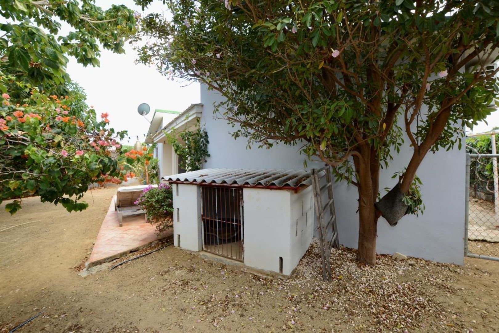 Kaya Torino 23, Brakkeput Mei Mei foto-6