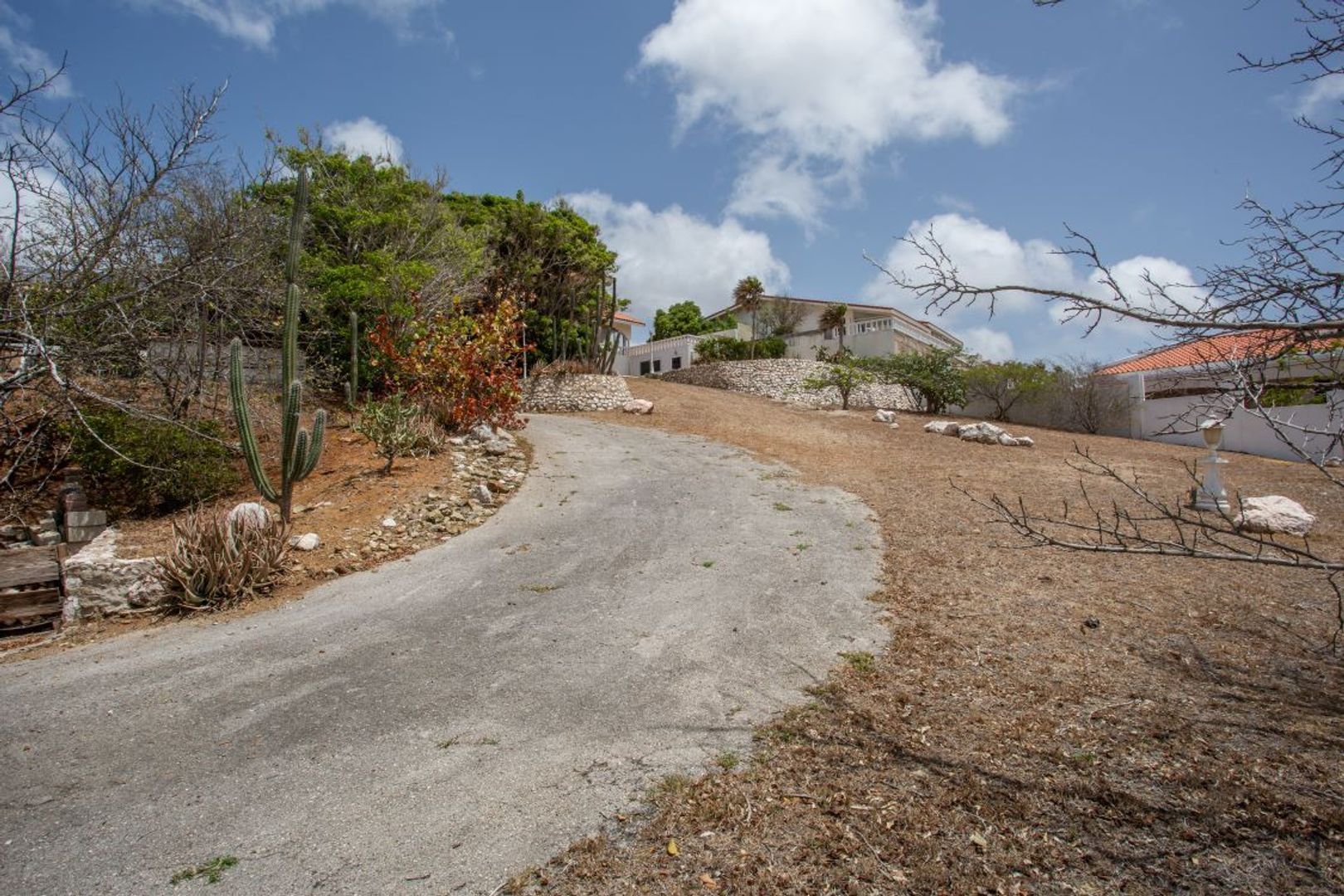 Jan Sofat 36+58, Curaçao foto-23