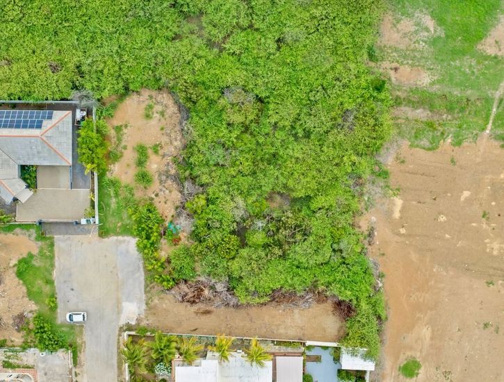 Grote Berg J3, Kaya Balinja