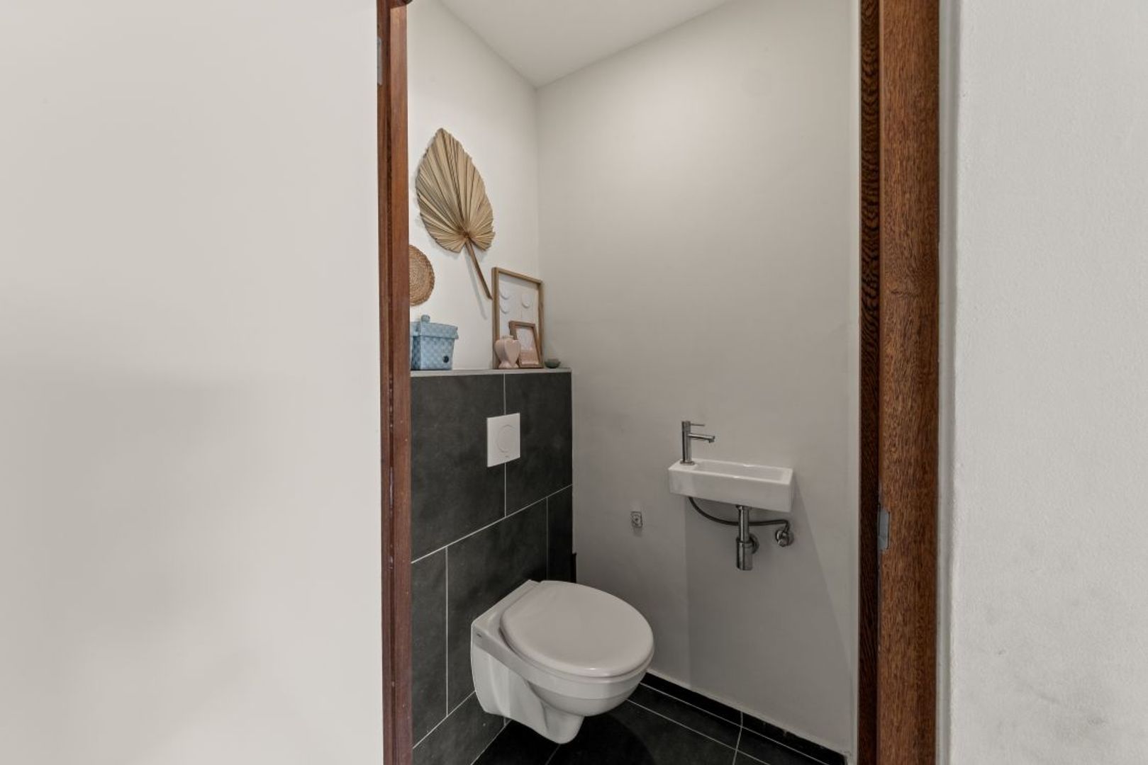 Kaya Kratos 10, Kwartje, Banda Ariba foto-26