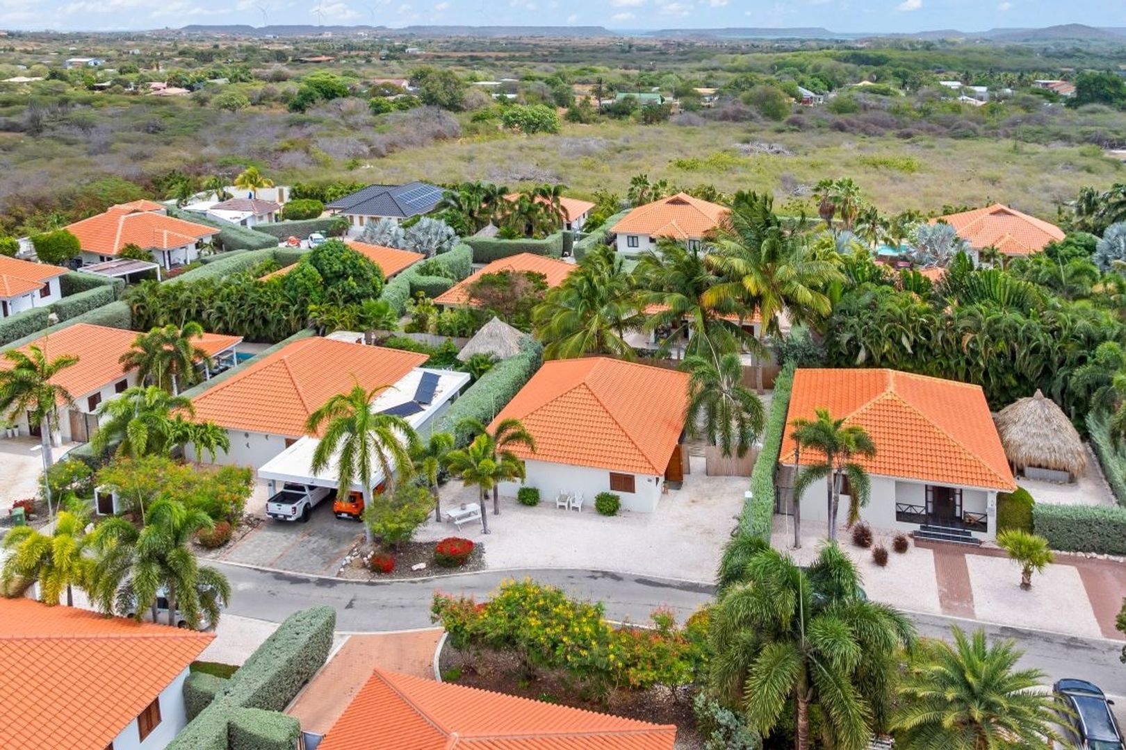 Kaya Kratos 10, Kwartje, Banda Ariba foto-1