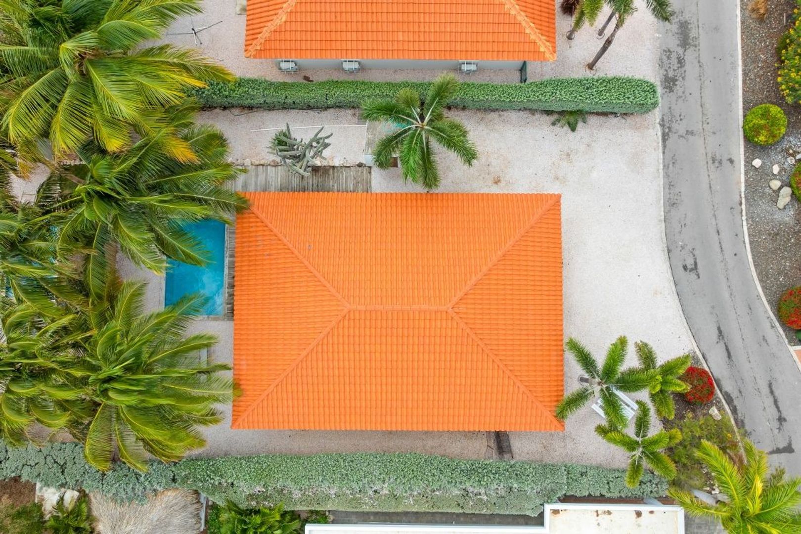 Kaya Kratos 10, Kwartje, Banda Ariba foto-28