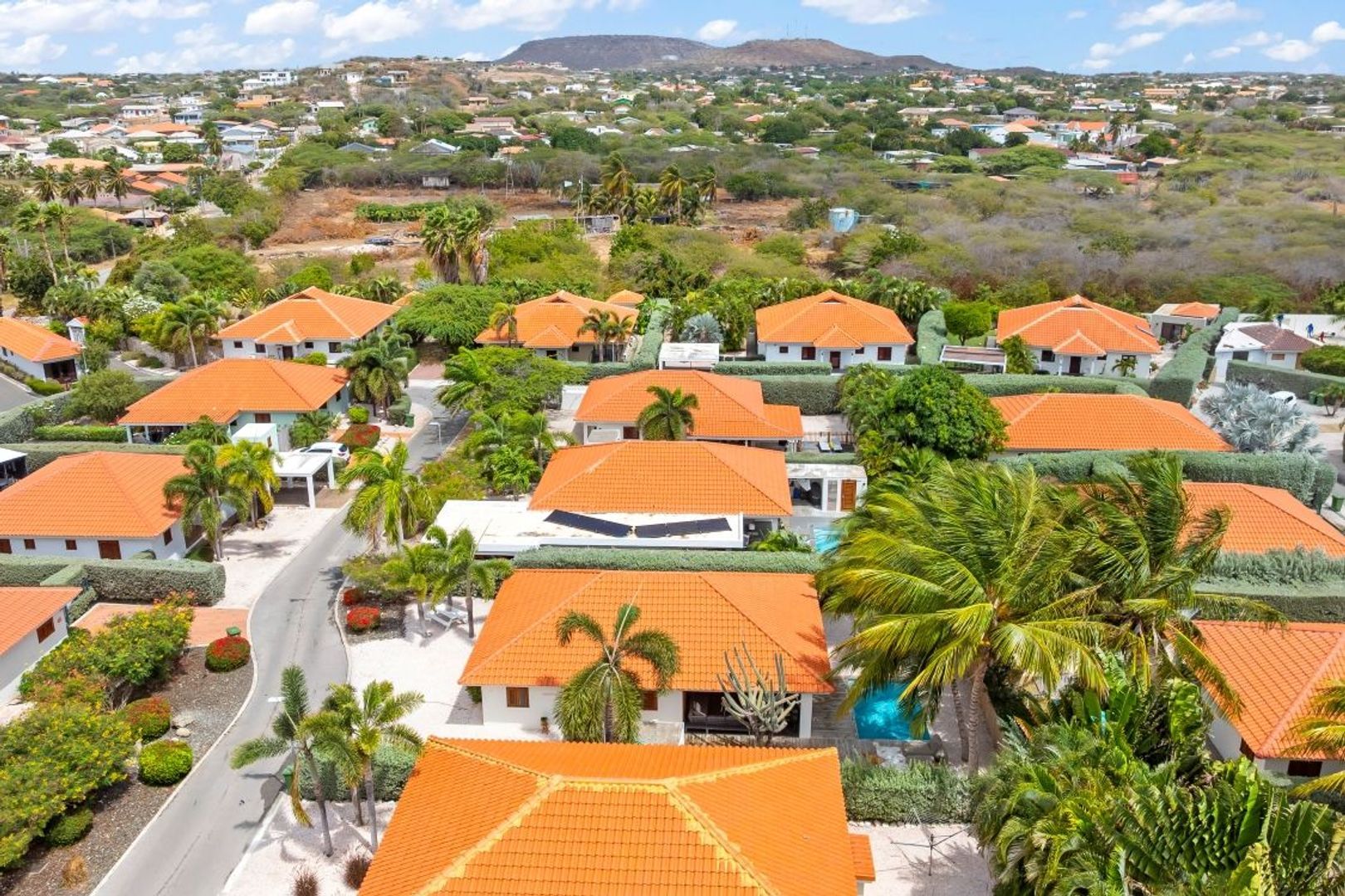 Kaya Kratos 10, Kwartje, Banda Ariba foto-29