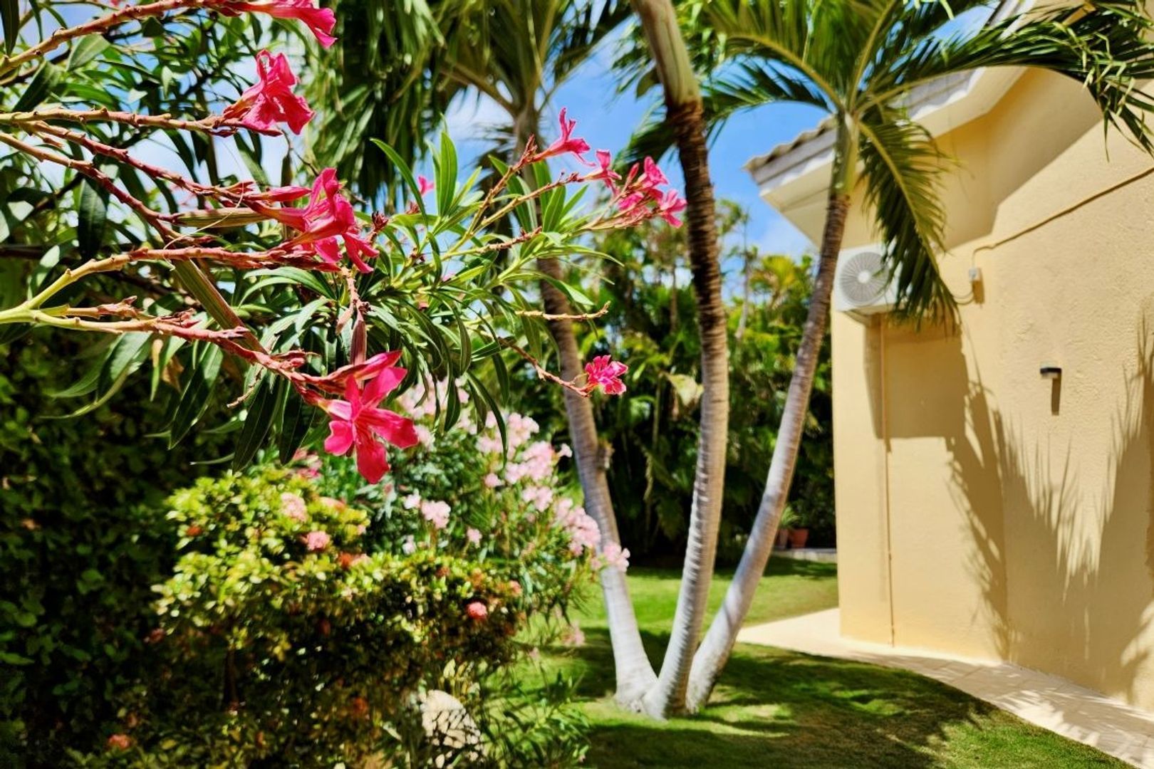 Tamanacostraat 11, Matancia foto-29