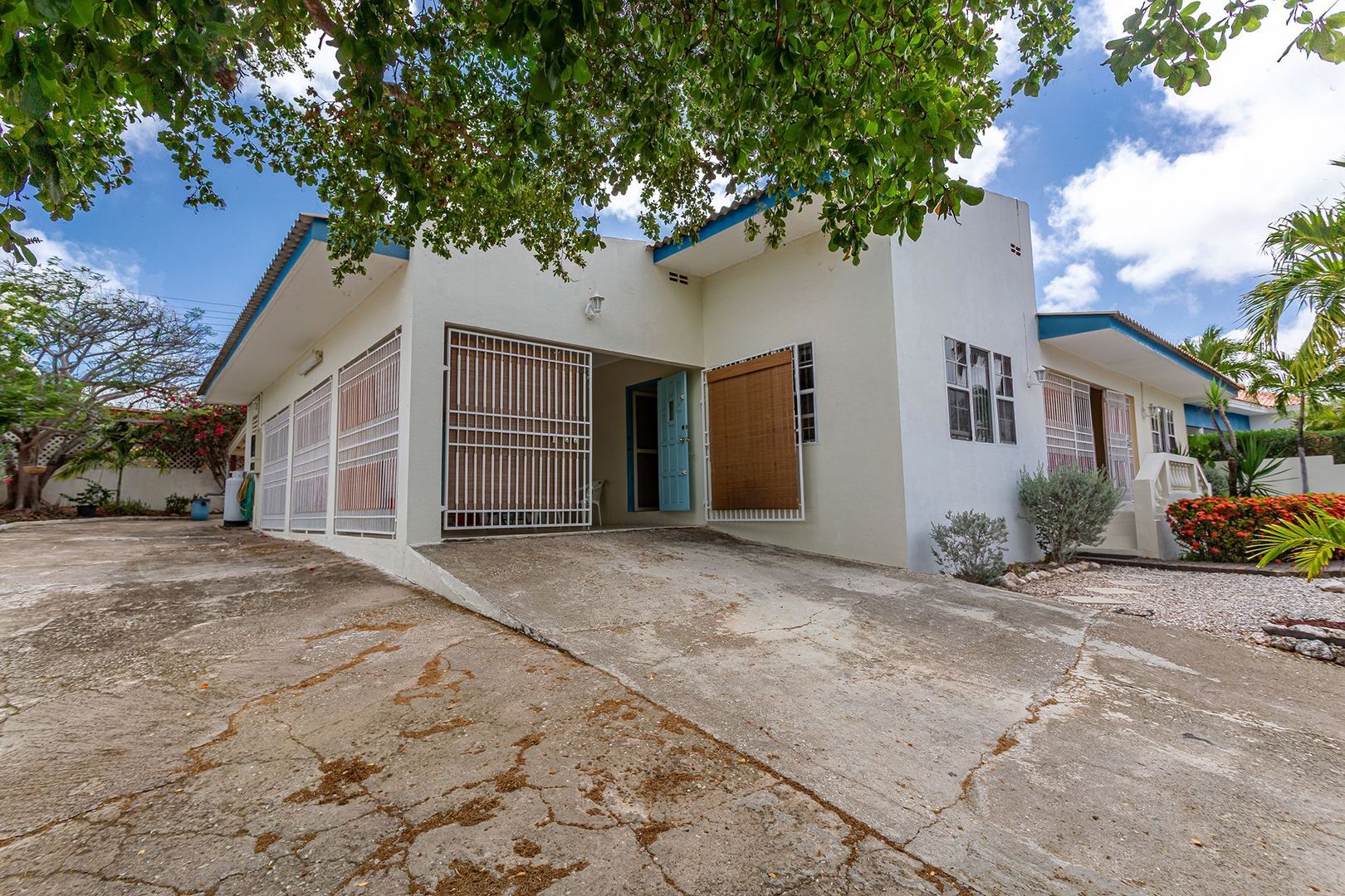 Katoentuin C40, Montaña foto-40