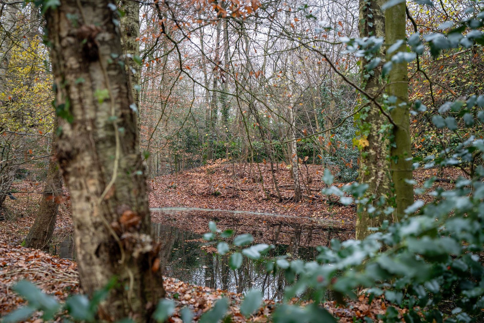 Koerbergseweg 6, Heerde foto-33