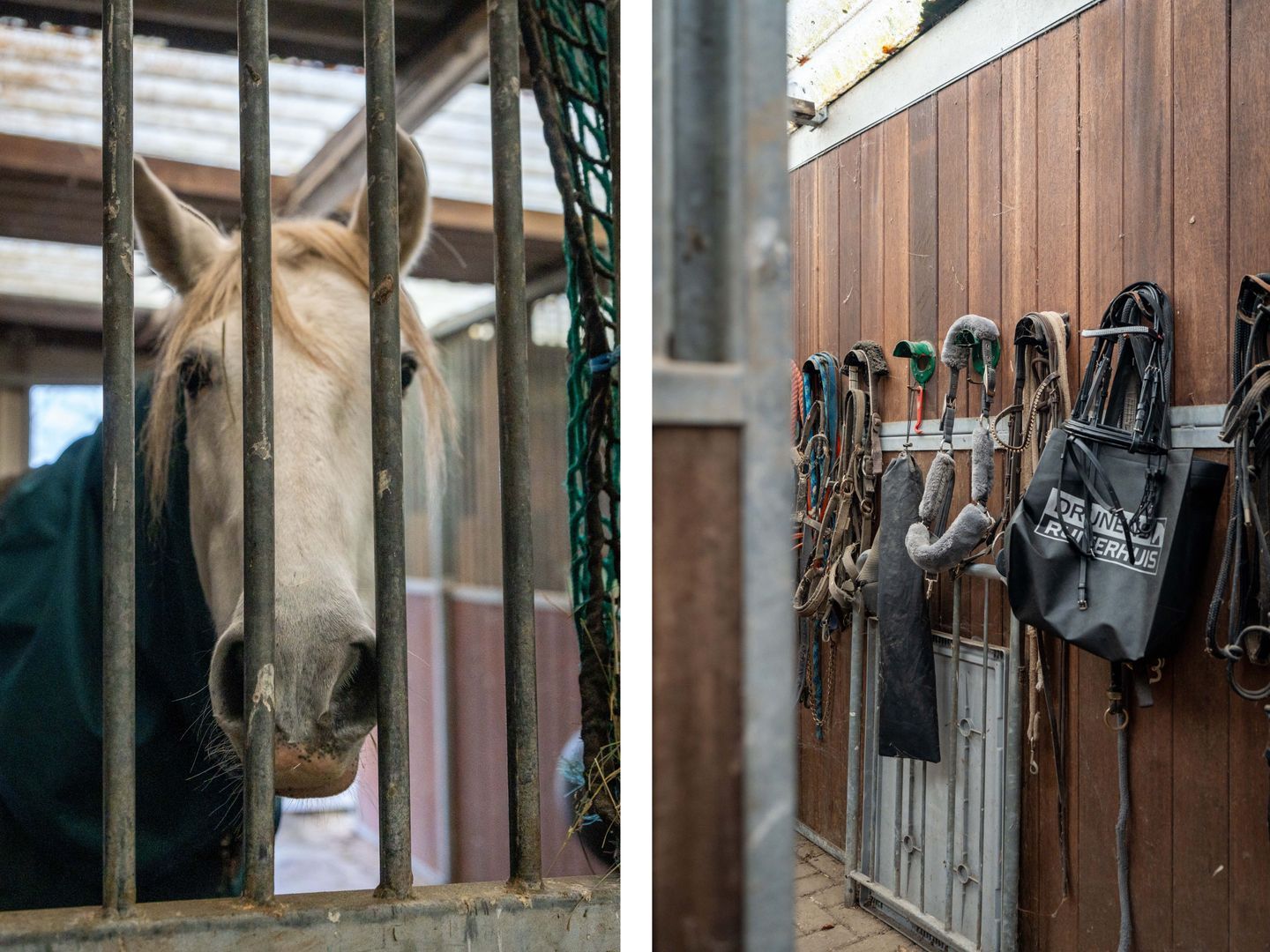 Koerbergseweg 6, Heerde foto-42