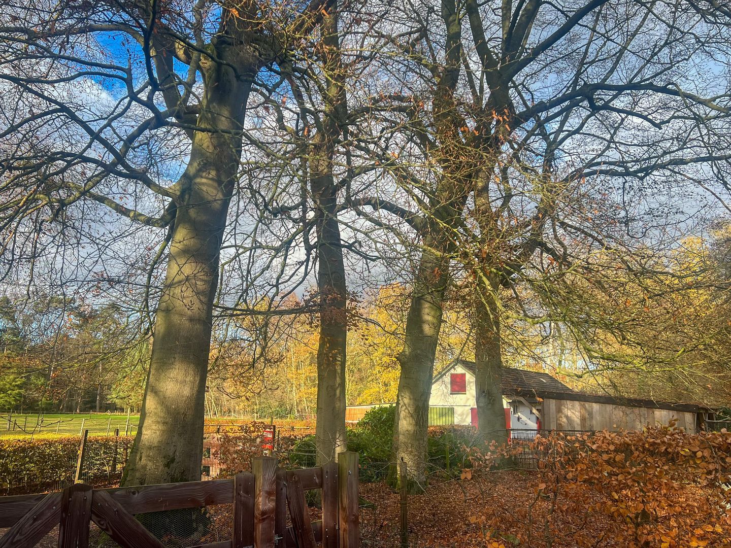 Koerbergseweg 6, Heerde foto-37