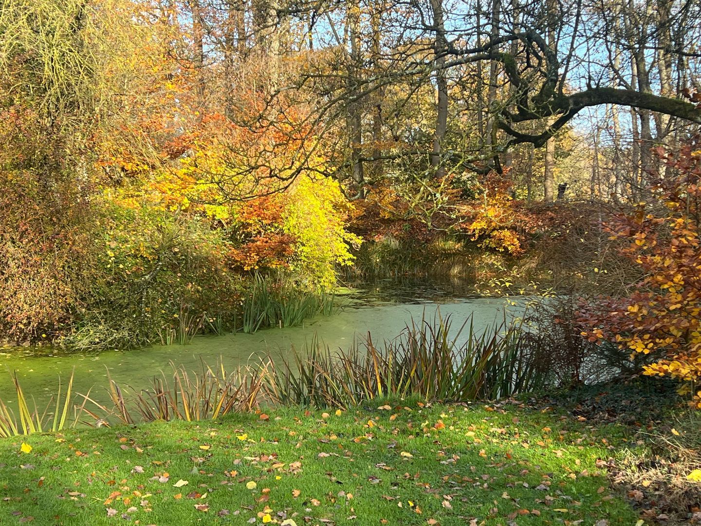 Koerbergseweg 6, Heerde foto-32