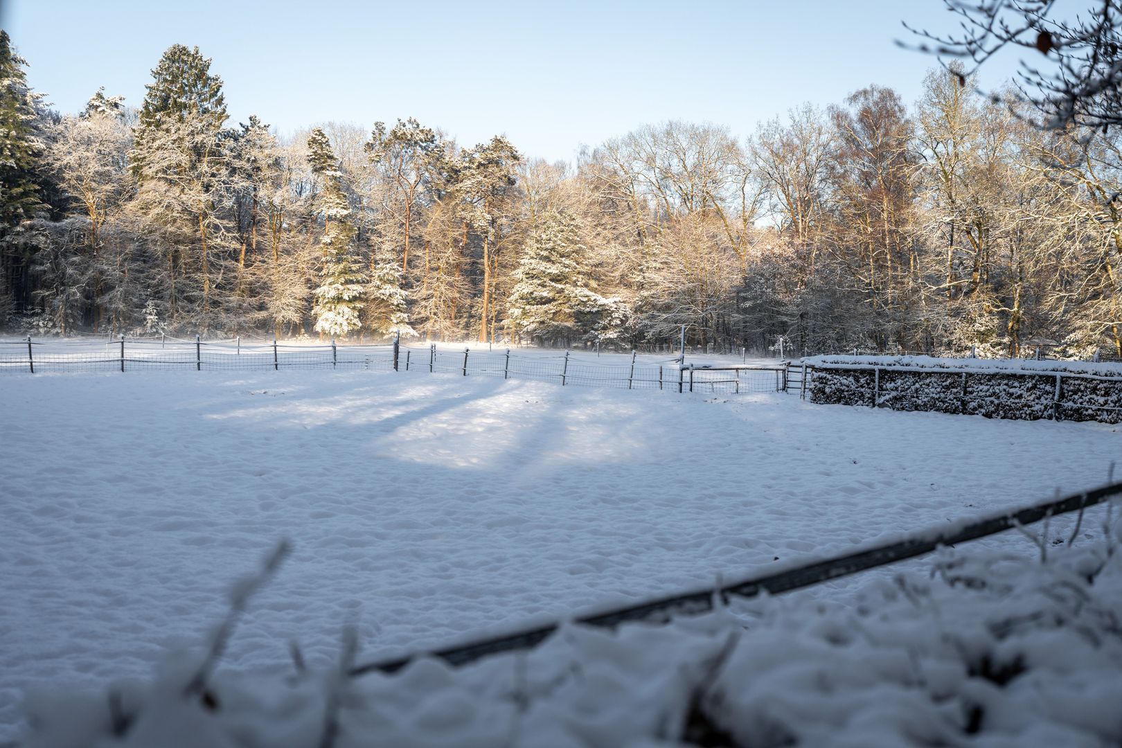 Koerbergseweg 6, Heerde foto-40