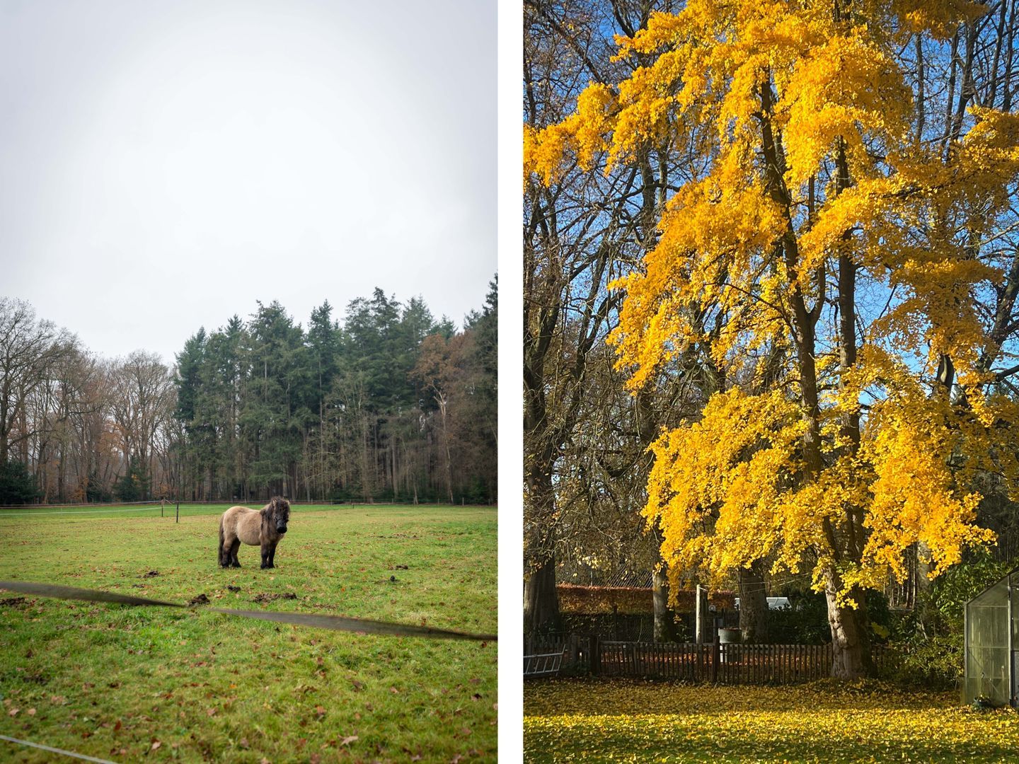 Koerbergseweg 6, Heerde foto-43