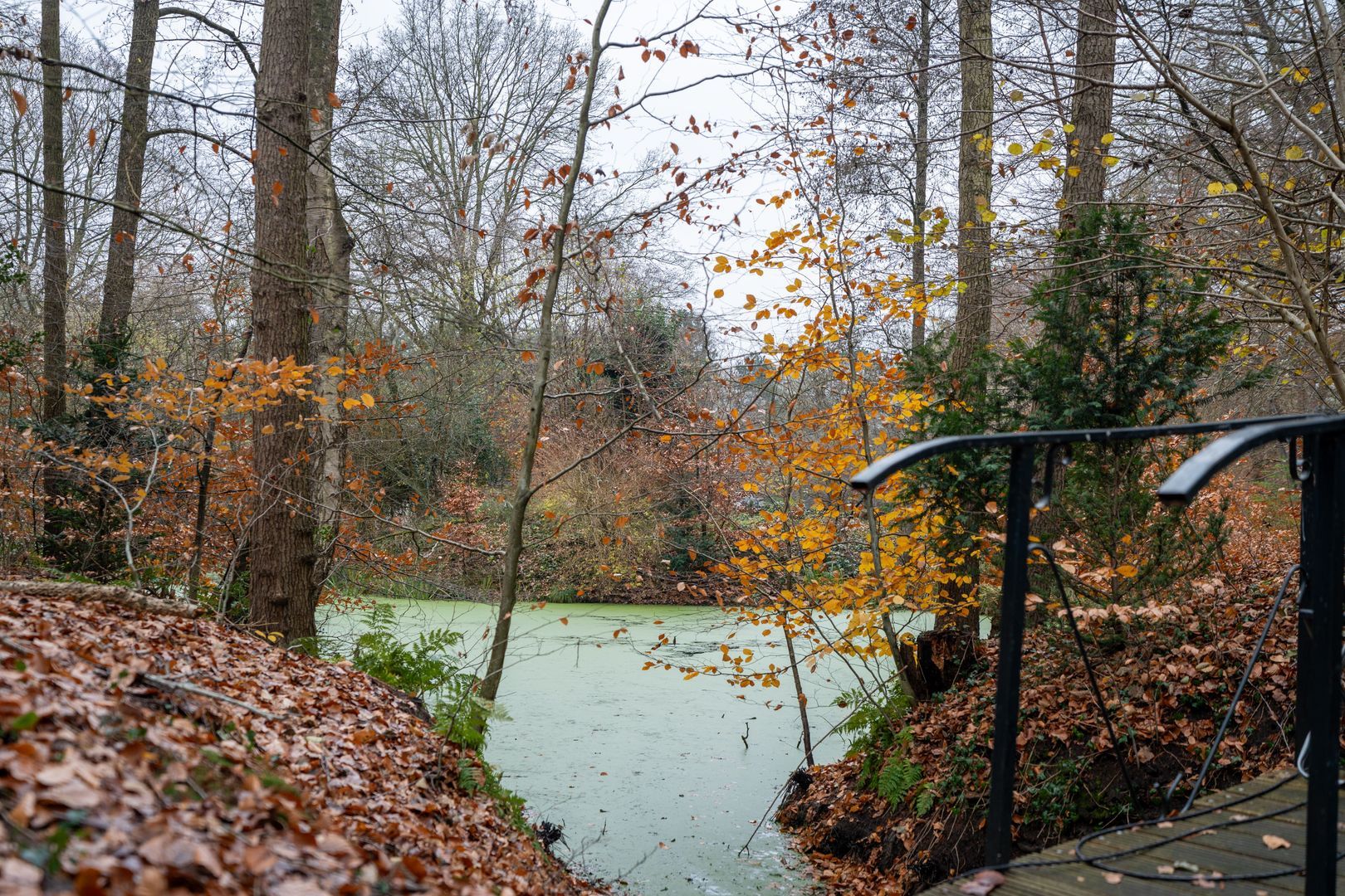Koerbergseweg 6, Heerde foto-34