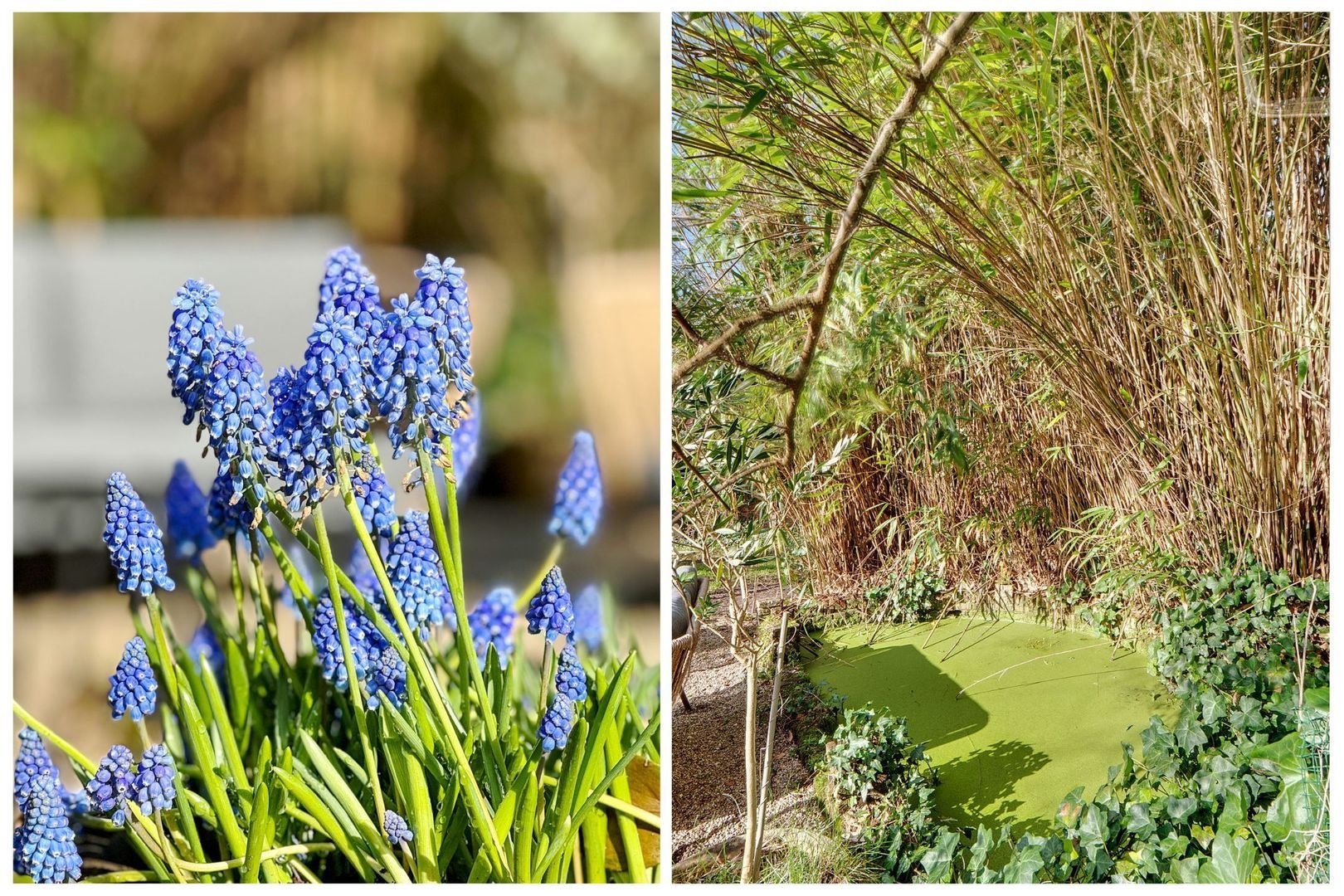 Eemnesserweg 25, Laren foto-20