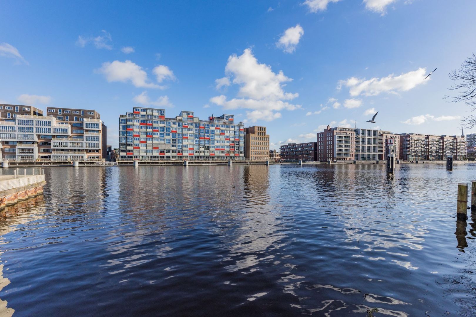 Het Dok 20, Zaandam foto-35