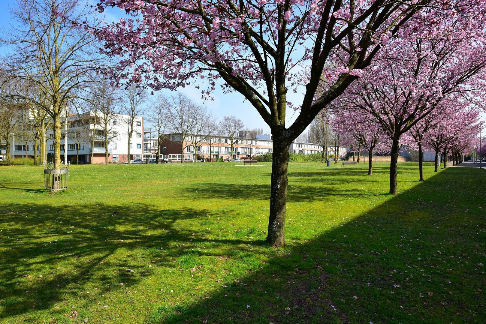 Hermitagelaan 41, Amsterdam foto-22