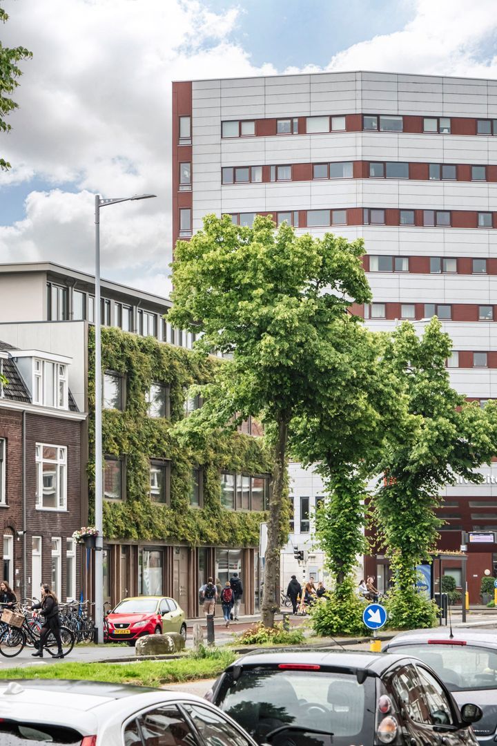 Vondellaan 53, Utrecht foto-3