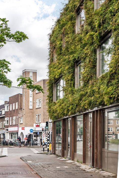 Vondellaan 53 H, Utrecht photo-5