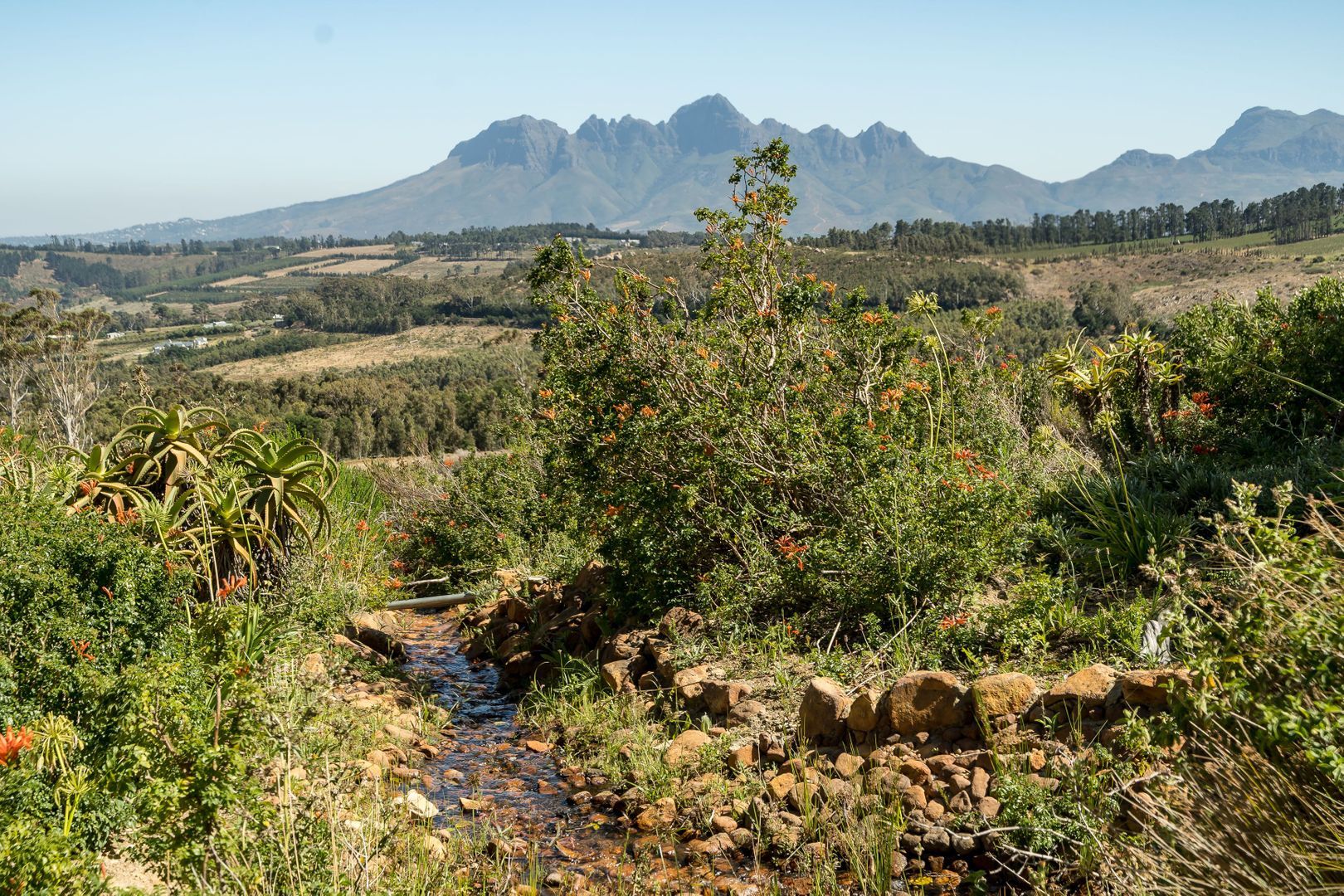 Knorhoek Estate Farm 9, SIR LOWRY'S PASS foto-10