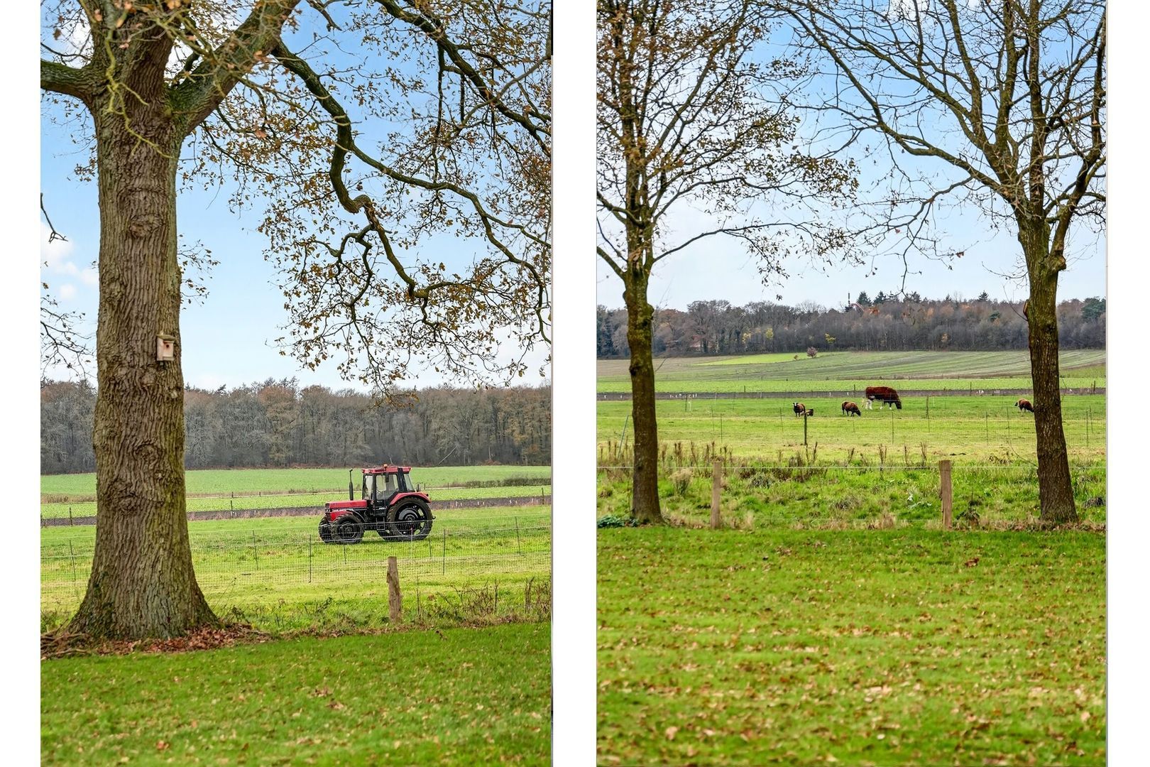 Ommerweg 23, Hellendoorn foto-123