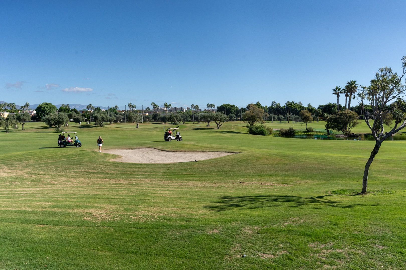 Exclusive and modern villa in Alicante Golf - Playa de San Juan Alicante, Alicante foto-30