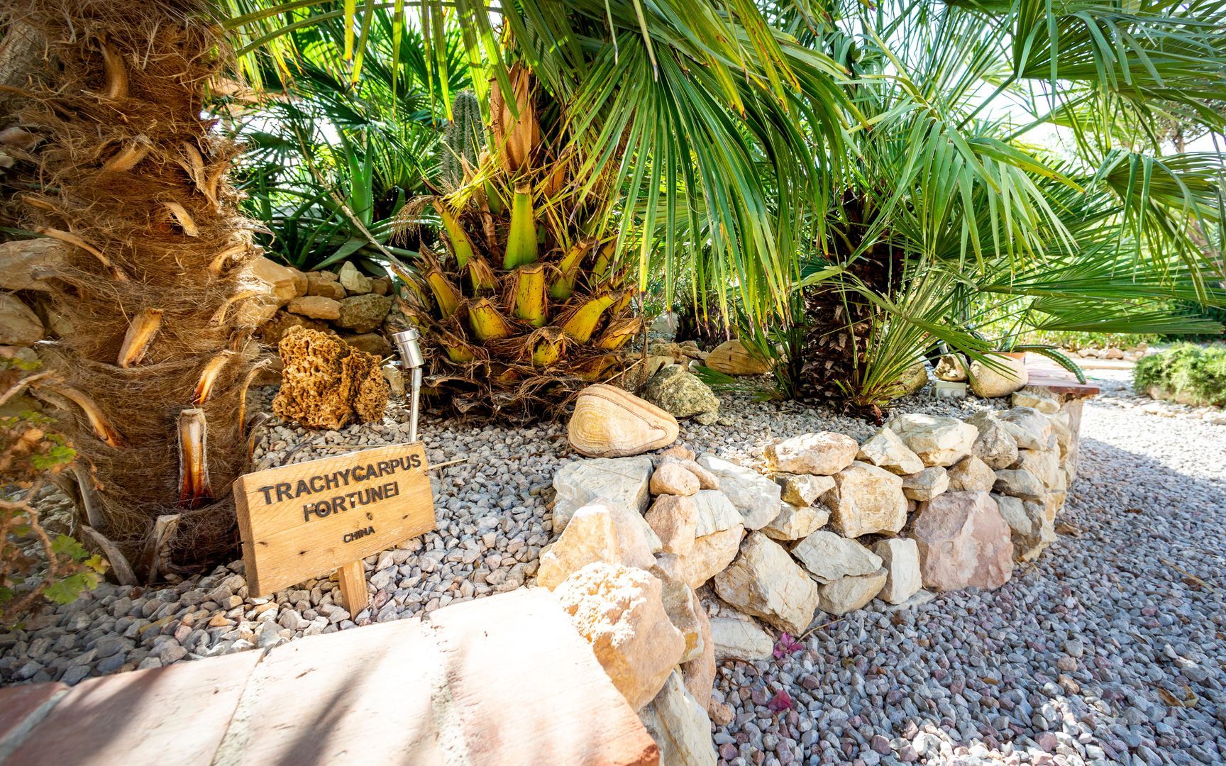 Finca El Romero Hotel and Restaurant, Orihuela (Murcia) foto-11