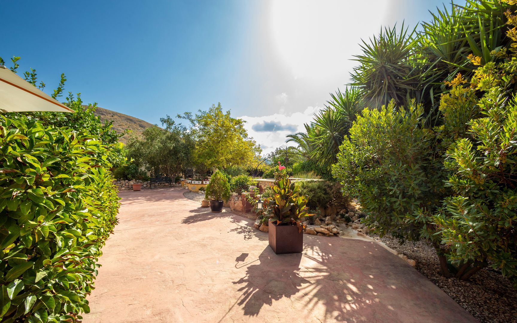 Finca El Romero Hotel and Restaurant, Orihuela (Murcia) foto-14