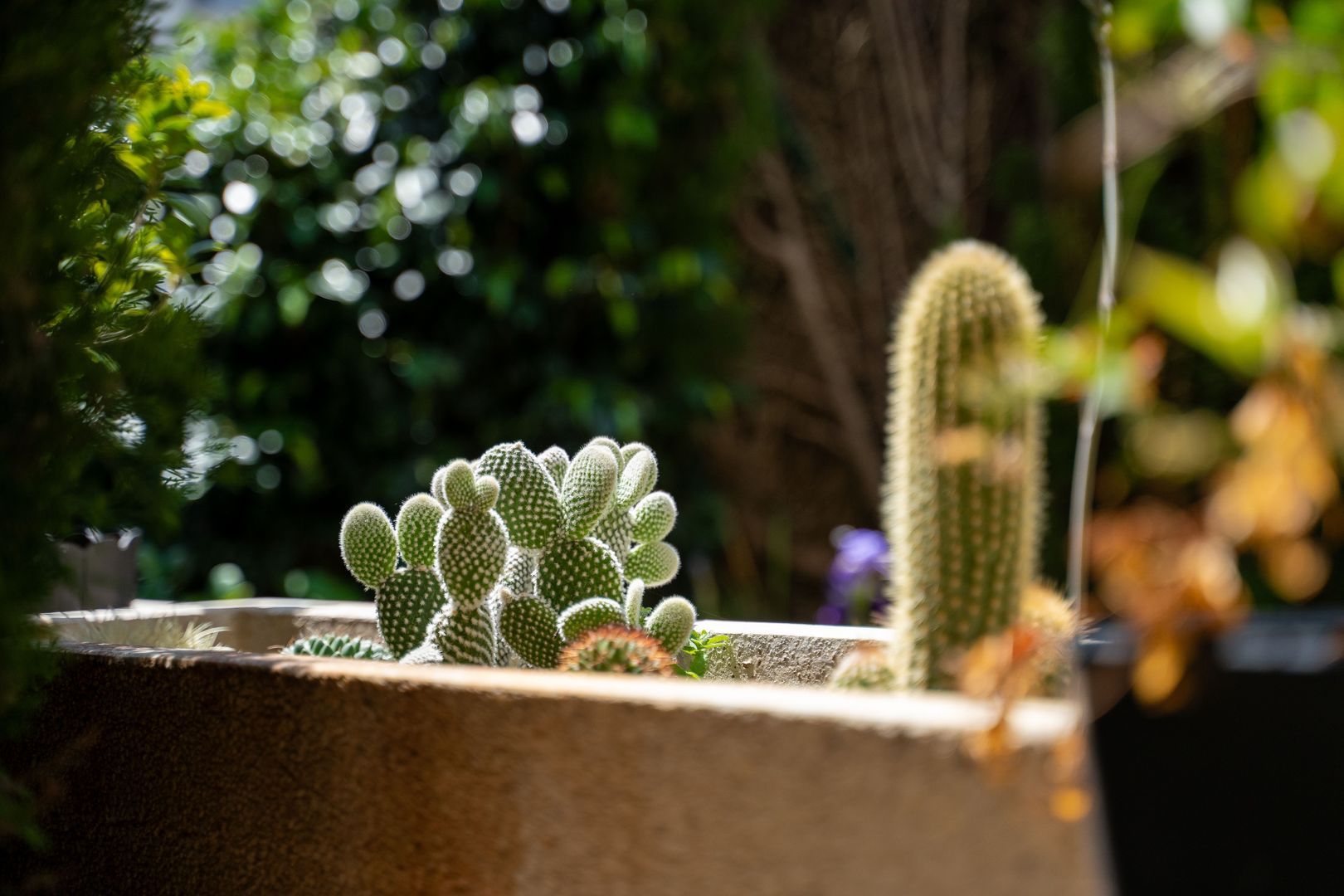 Exclusive and luxurious bungalow with elevator in El Faro 61, Alicante foto-54