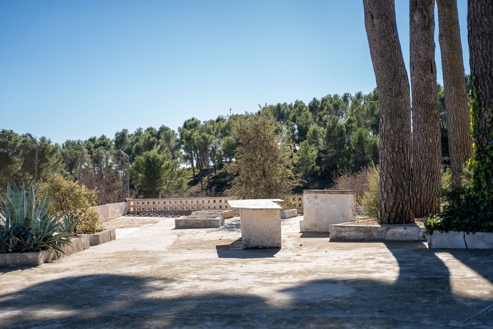 Landgoed Jijona, Alicante, Jijona foto-106