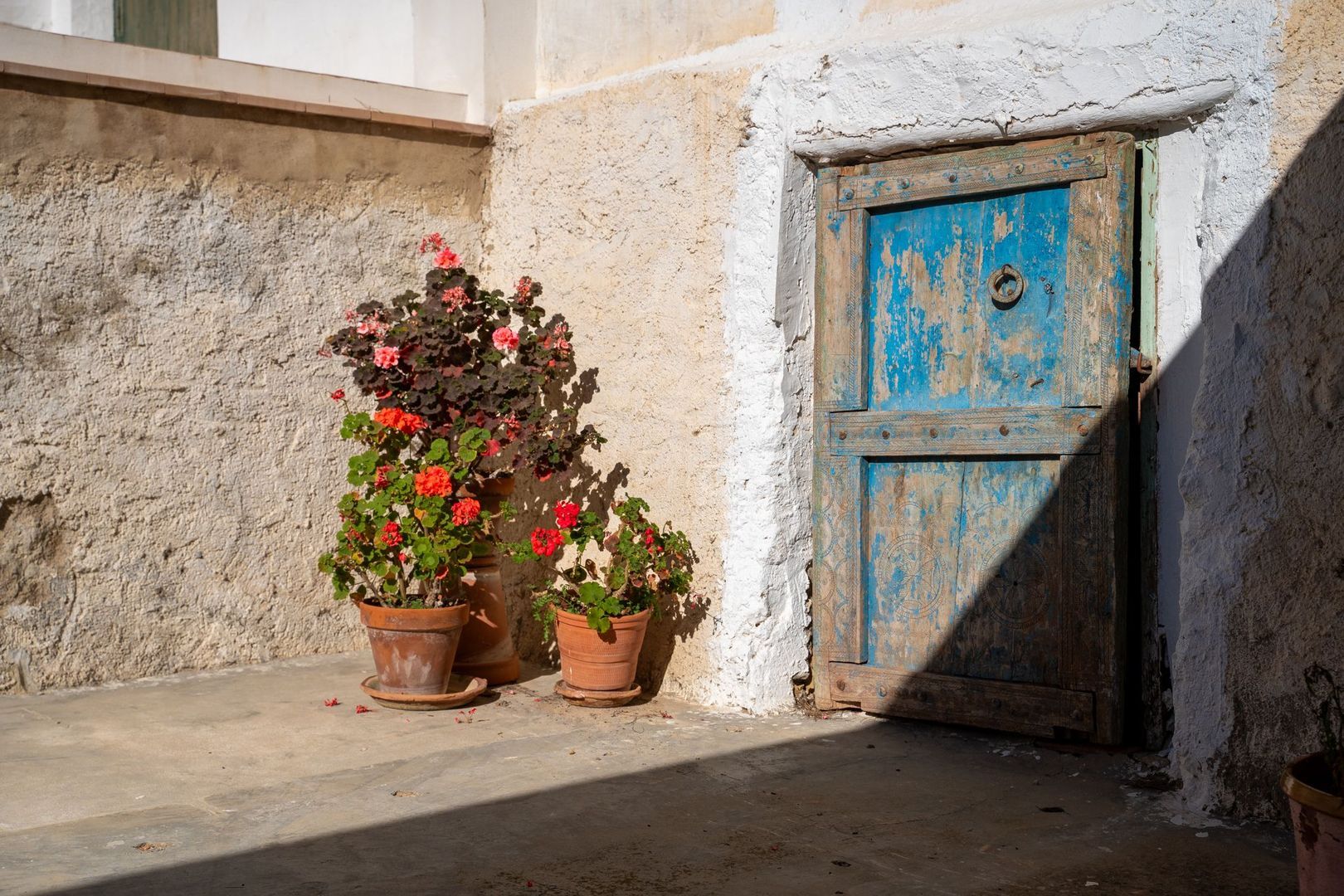 Landgoed Jijona, Alicante, Jijona foto-101